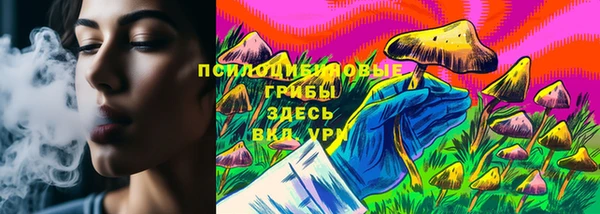 меф Алексин