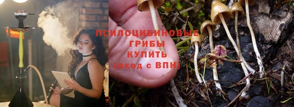 дмт Алзамай