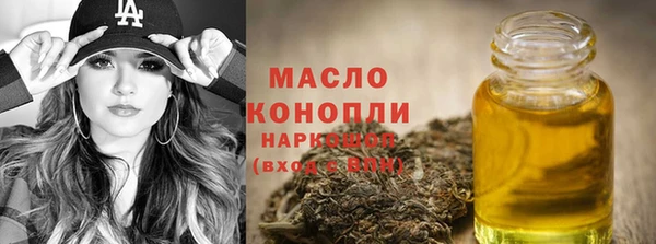 дмт Алзамай