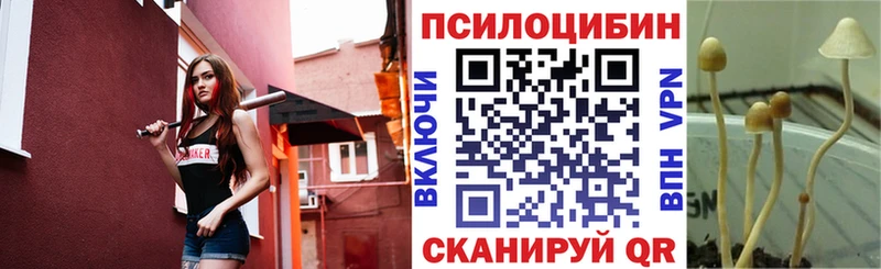 Купить закладки  Киров  Псилоцибиновые грибы MAGIC MUSHROOMS 